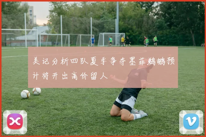 美记分析四队夏季争夺墨菲鹈鹕预计将开出高价留人
