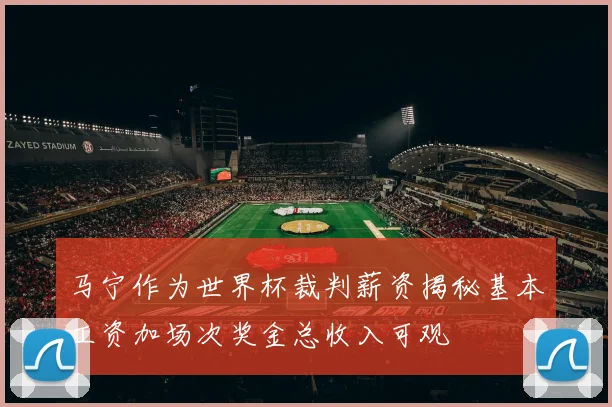 马宁作为世界杯裁判薪资揭秘基本工资加场次奖金总收入可观