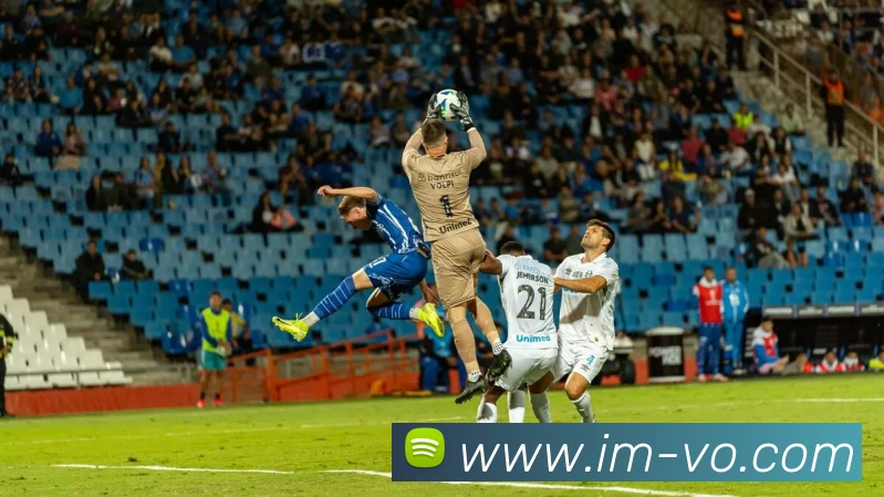 IM电竞全站App